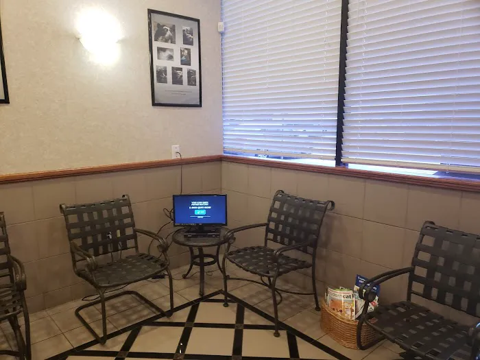 Texas Veterinary Dental Center 12