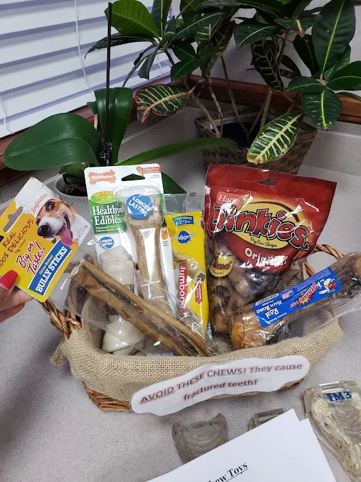 Texas Veterinary Dental Center 12