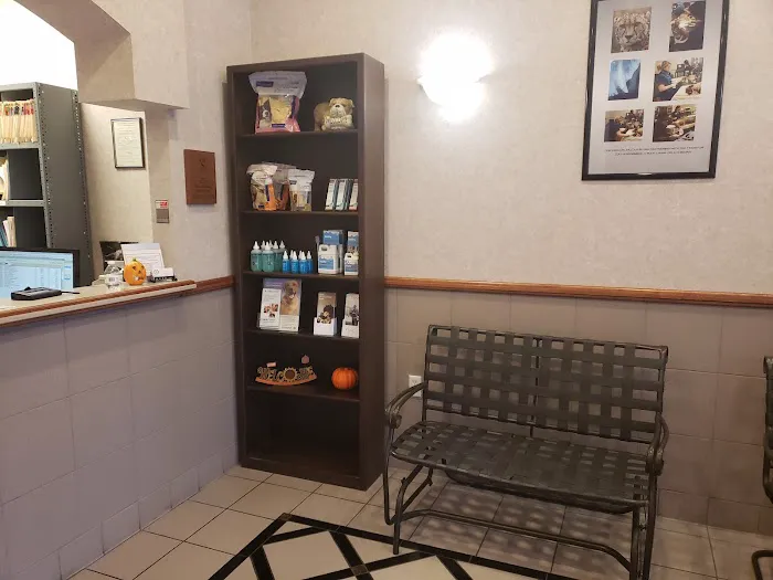 Texas Veterinary Dental Center 12