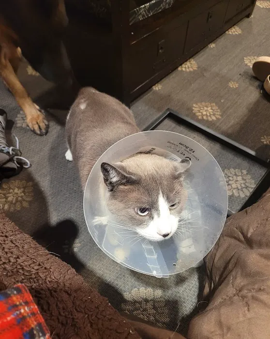 Mid Island Animal Hospital: Mitchell Kornet DVM 12
