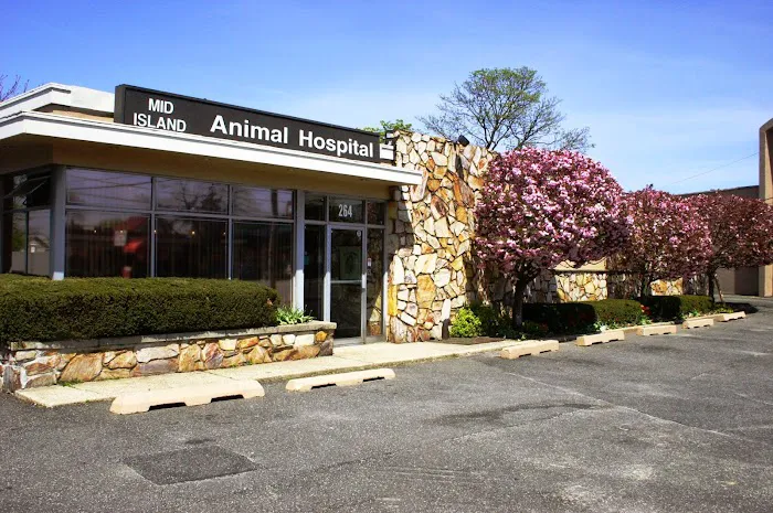 Mid Island Animal Hospital 9