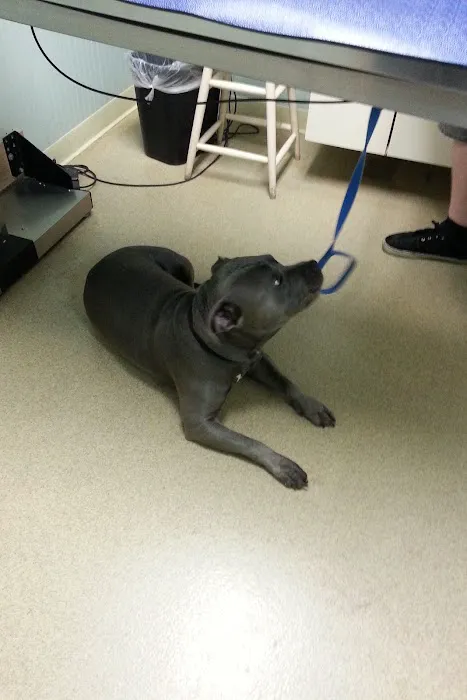 Jericho Animal Hospital 7