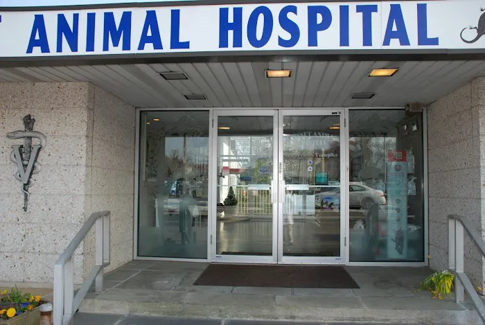 Syosset Animal Hospital 7
