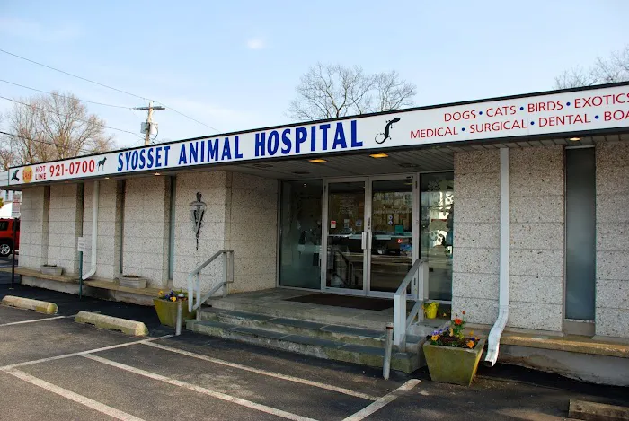 Syosset Animal Hospital 6
