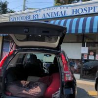 Woodbury Animal Hospital ico