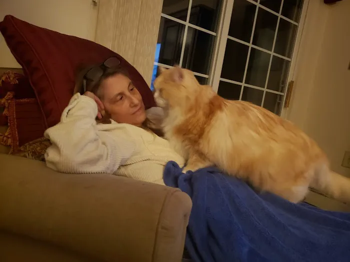 Woodbury Animal Hospital 3