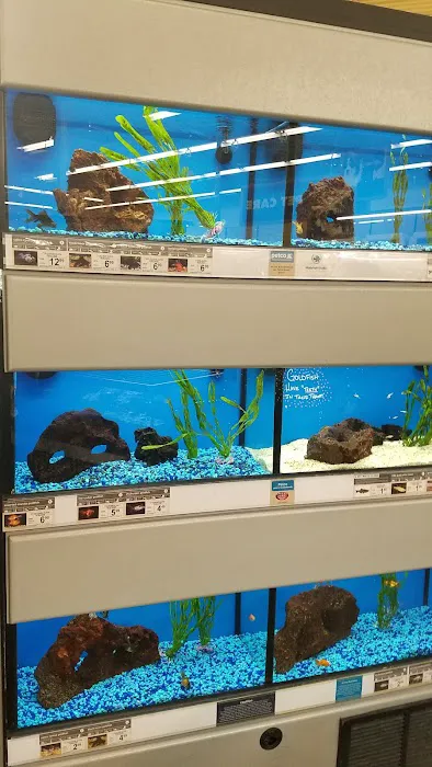 Petco 3