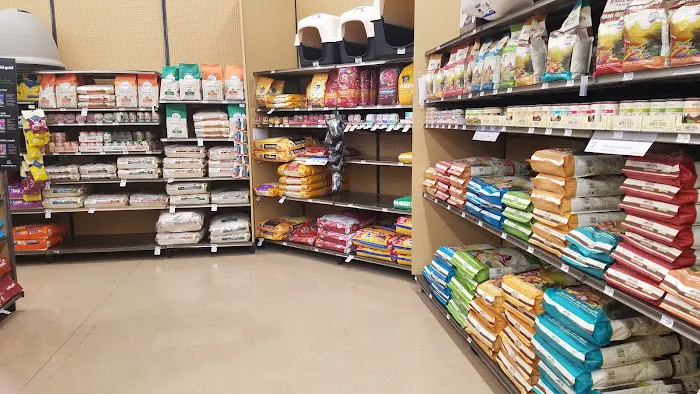 Petco 1