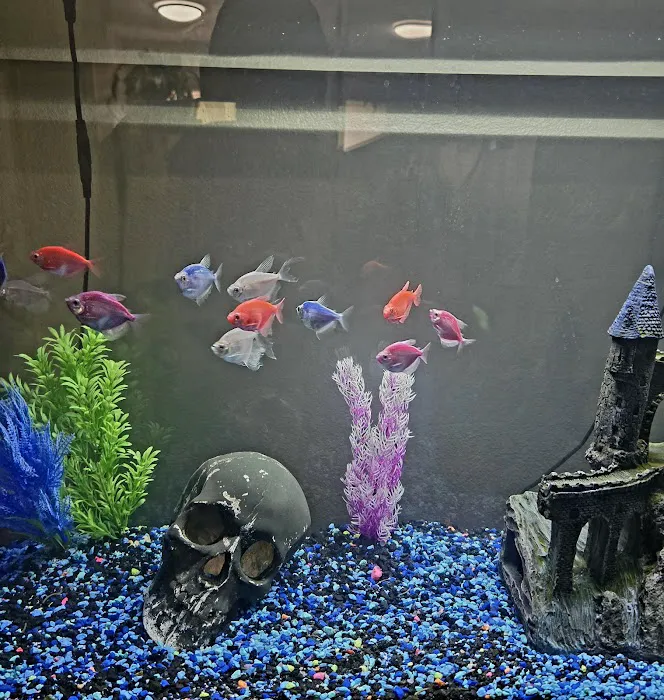 Petco 9
