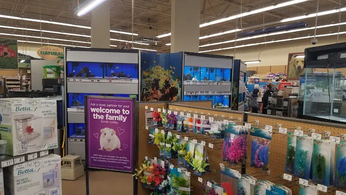 Petco 5