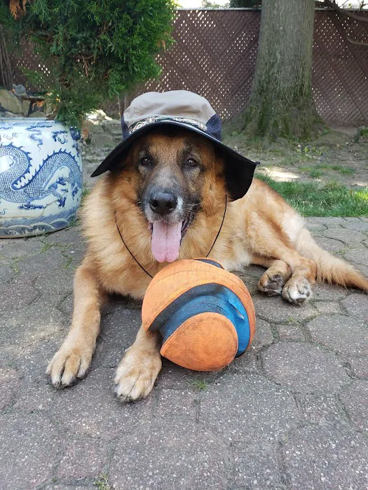 East Meadow Veterinary Center 10