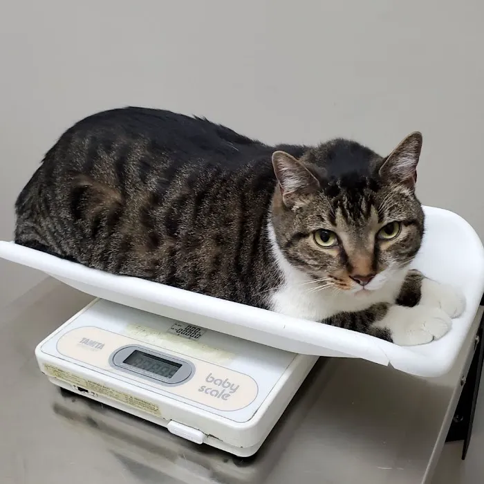 East Meadow Veterinary Center 1