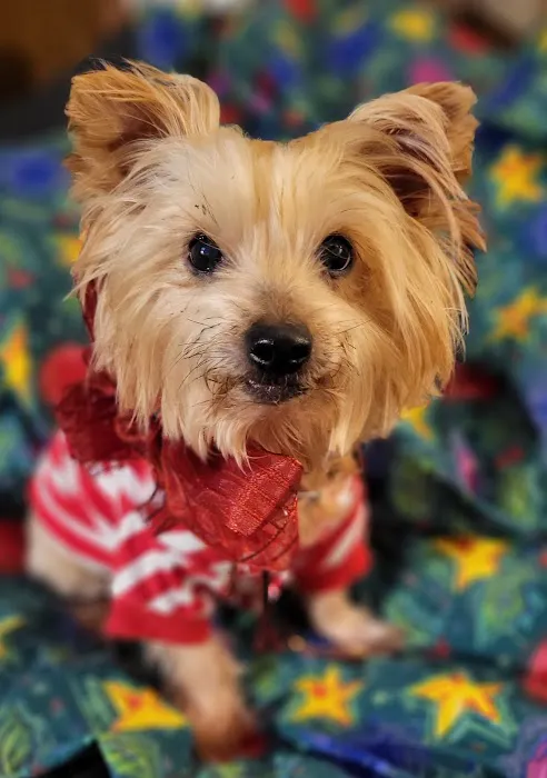 East Meadow Veterinary Center 5
