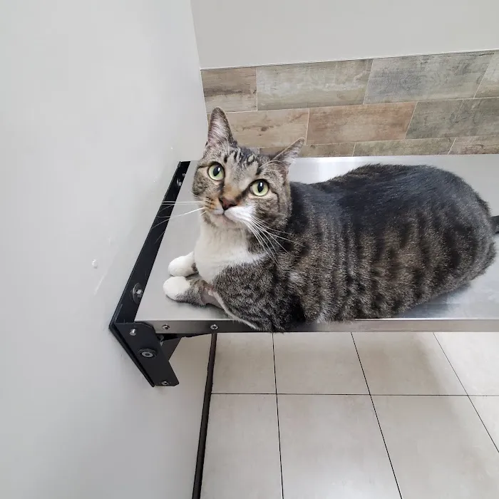 East Meadow Veterinary Center 3