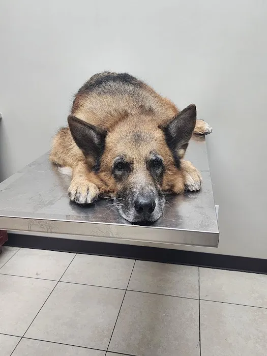 East Meadow Veterinary Center 6
