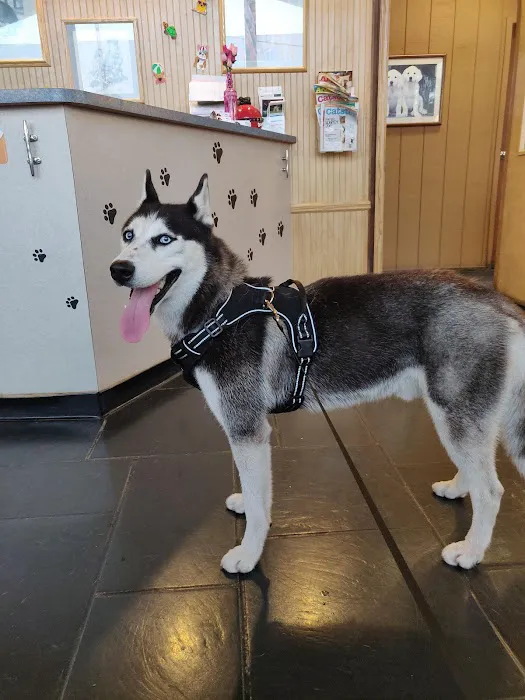 East Meadow Animal Hospital: Kaplan Warren DVM 3