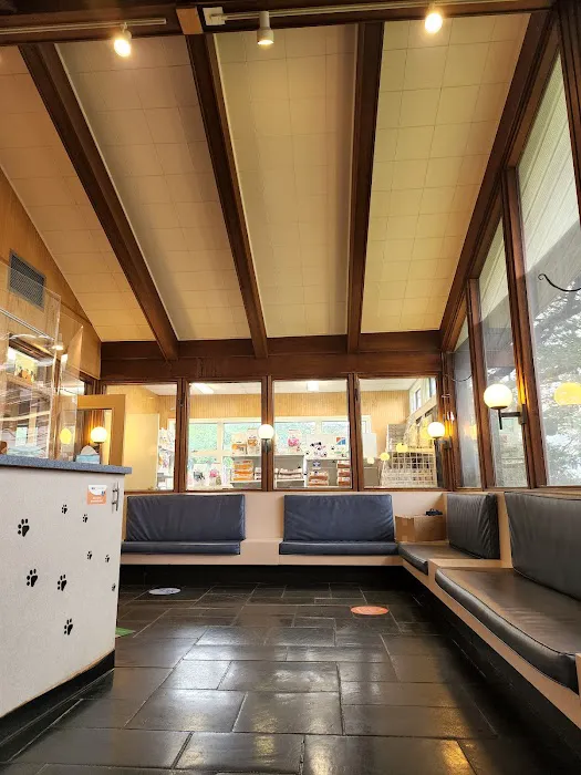 VCA East Meadow Animal Hospital 8