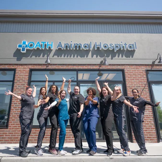 Oath Animal Hospital 9