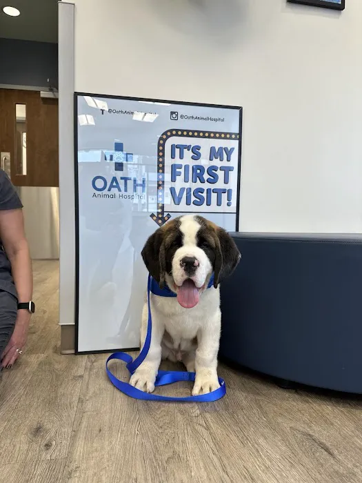 Oath Animal Hospital 3