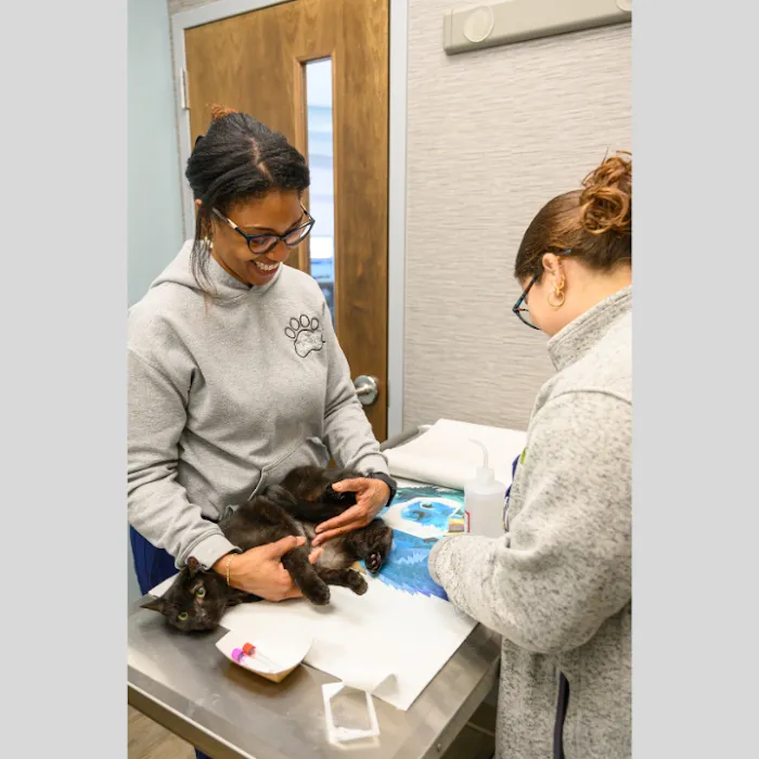 Oath Animal Hospital 8