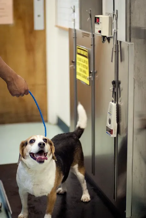 Levittown Animal Hospital 9