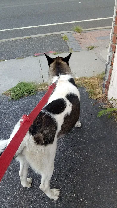 Meadowbrook Animal Hospital 12
