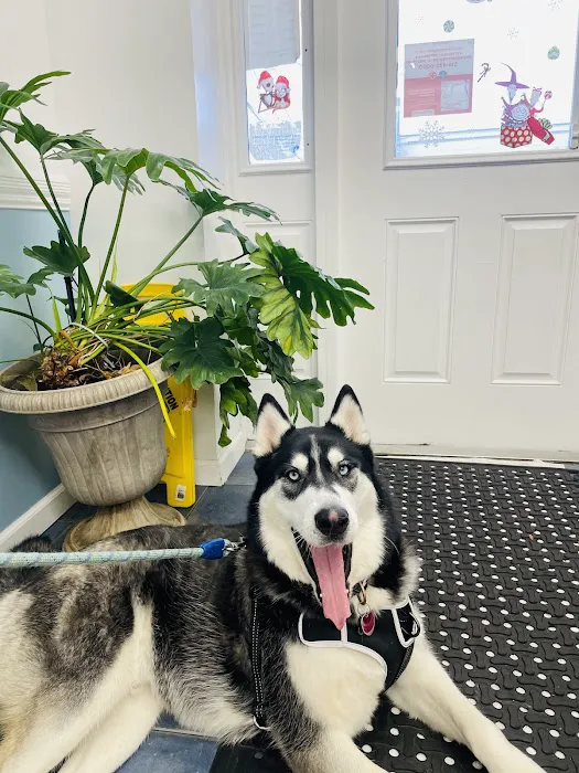 Meadowbrook Animal Hospital 12