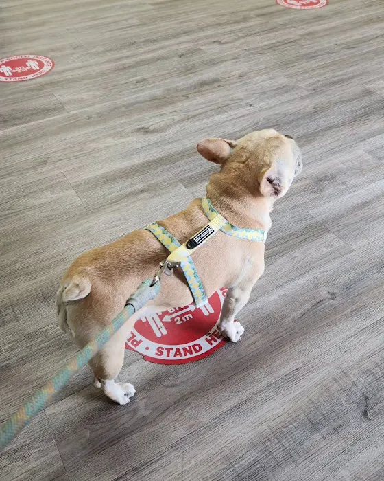 East Village Green Animal Hospital 12