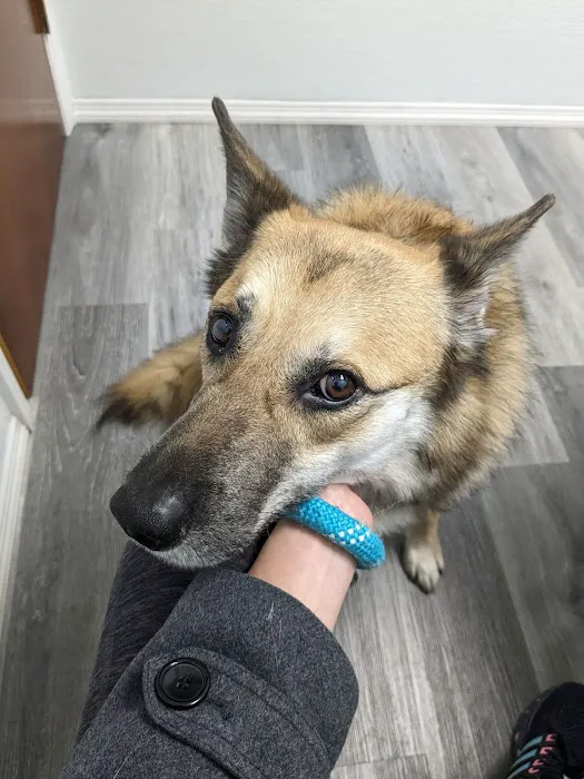 4 Legged Friends Veterinary Clinic PC 12