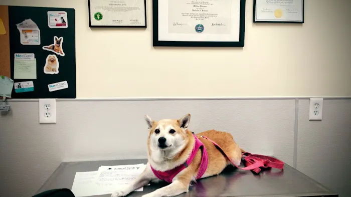 4 Legged Friends Veterinary Clinic PC 12
