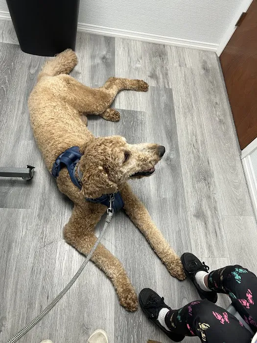 4 Legged Friends Veterinary Clinic PC 12