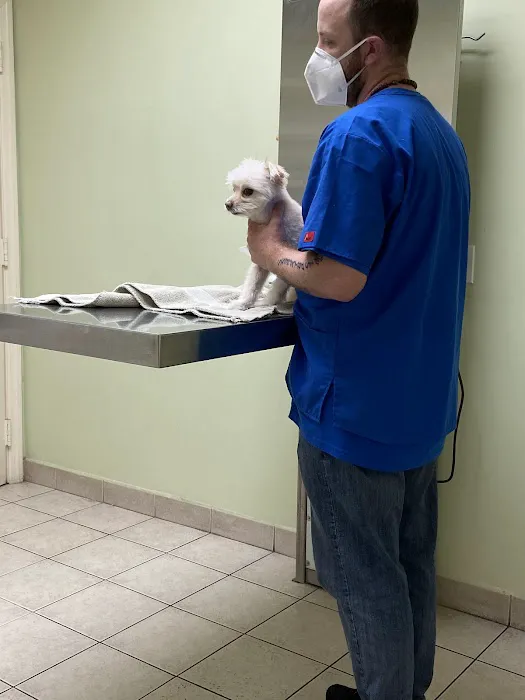 Bath Animal Hospital 12