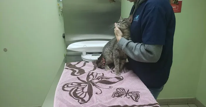 Bath Animal Hospital 12