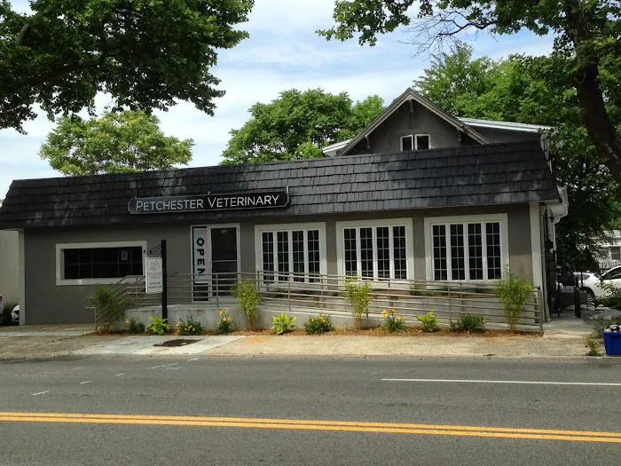 Petchester Veterinary 12