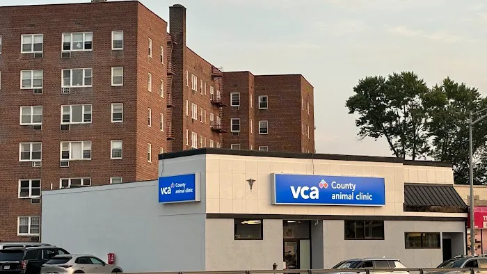 County Animal Clinic 12