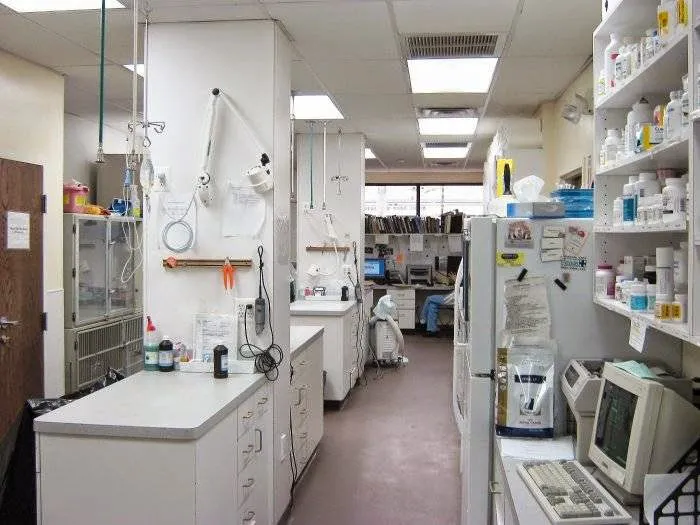 County Animal Clinic 12