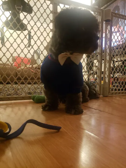 Vetco Vaccination Clinic 12