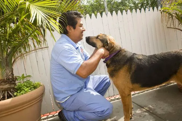 Mamaroneck Veterinary Hospital 12