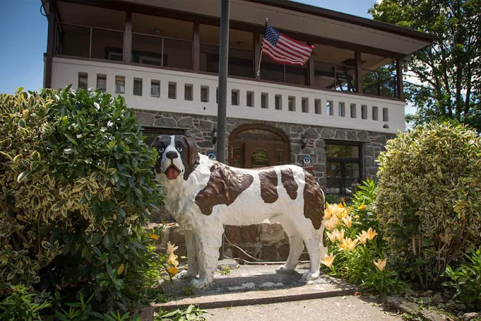 Mamaroneck Veterinary Hospital 12