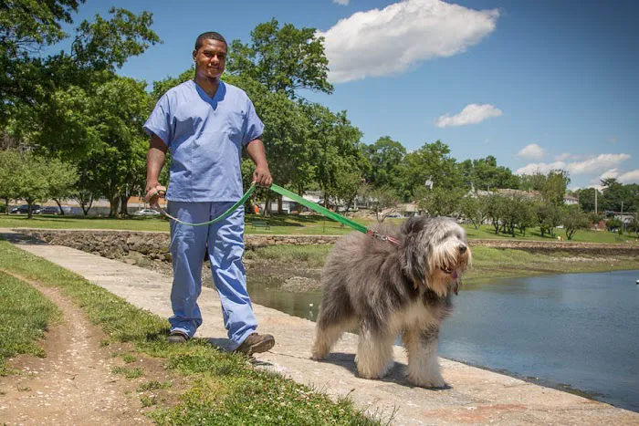 Mamaroneck Veterinary Hospital 12