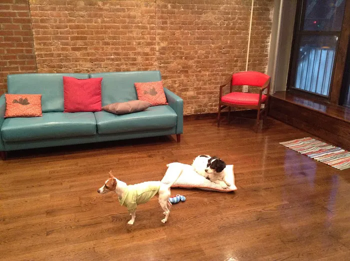 Heart of Harlem Veterinary Clinic 9