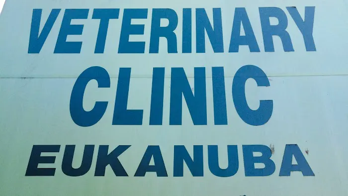 Ideal Pet Veterinary Clinic 1