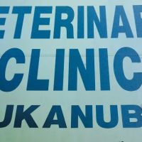 Ideal Pet Veterinary Clinic ico