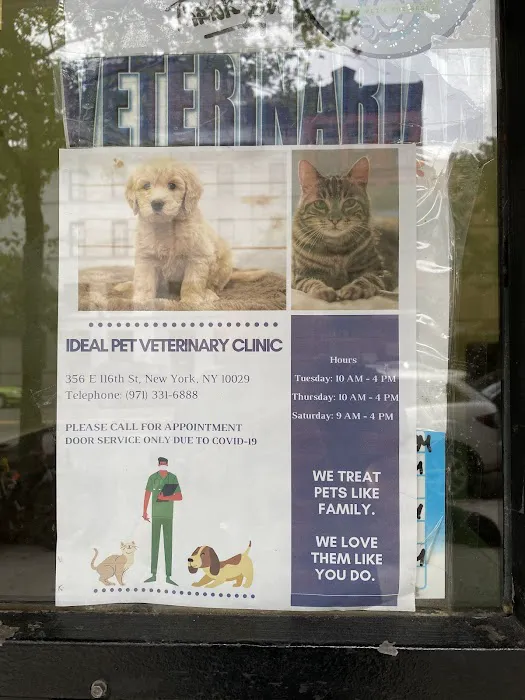 Ideal Pet Veterinary Clinic 3