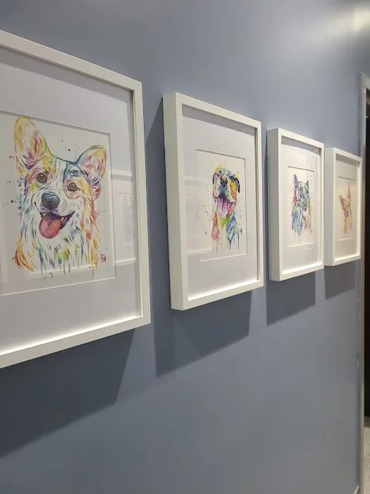 Oliver's Dog & Cat Clinic 2