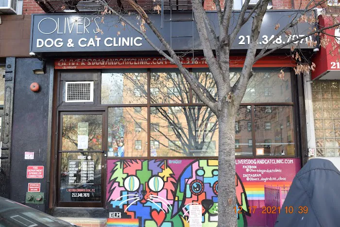 Oliver's Dog & Cat Clinic 7
