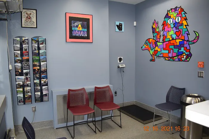 Oliver's Dog & Cat Clinic 8