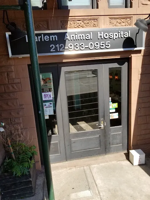 Harlem Animal Hospital 1