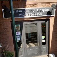 Harlem Animal Hospital ico