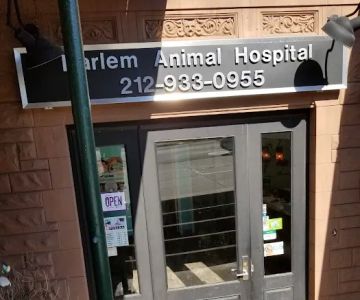 Harlem Animal Hospital